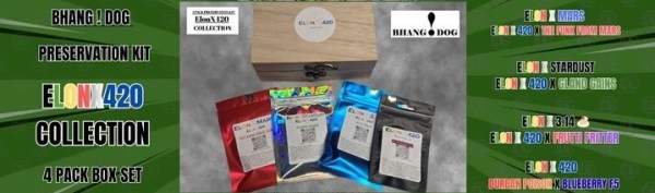 ElonX Box Collection